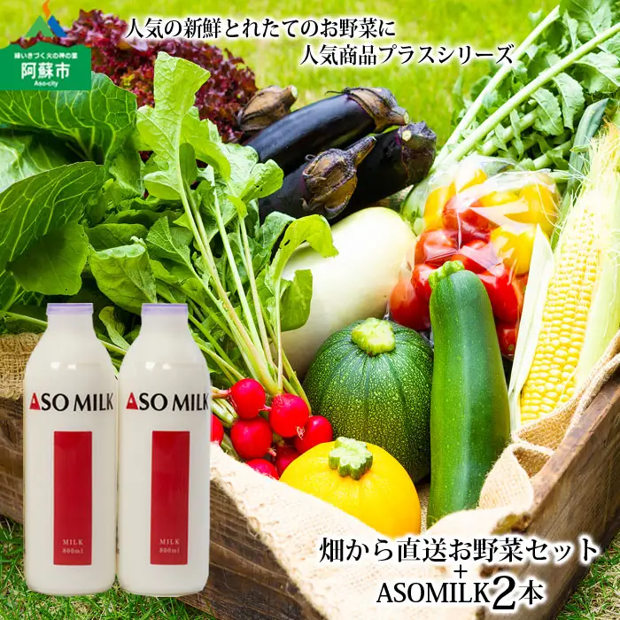 季節のお野菜セットと阿部牧場のASOMILK800ml×2本