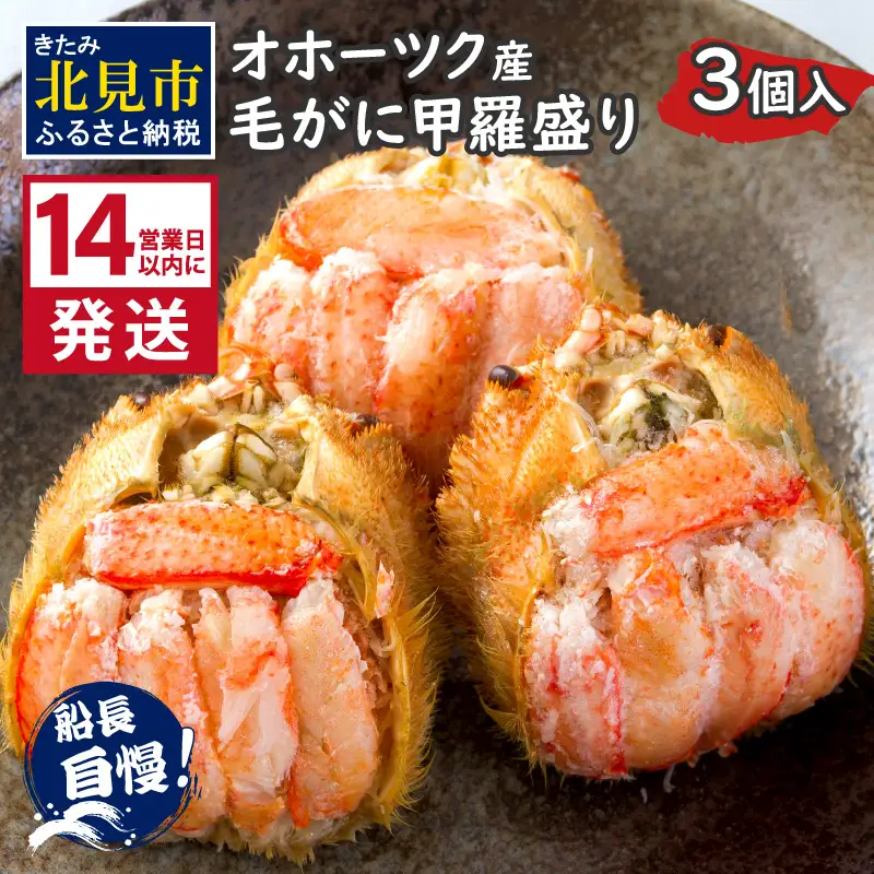 《14営業日以内に発送》船長自慢のオホーツク産毛がにの甲羅盛り 3個入り 冷凍 ( 毛ガニ 毛がに 毛蟹 蟹 かに カニ 甲羅盛り オホーツク海 北海道 北見市 ふるさと納税 グラタン チーズ カニ身 )【114-0073】