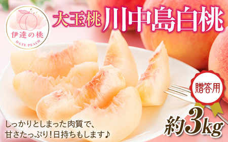 【2026年出荷分先行予約】福島県産 川中島白桃 約3㎏ (約10玉) 一般社団法人つきだて振興公社 白桃 大玉 贈り物 贈答 ギフト 伊達の桃 桃 フルーツ 果物 もも モモ momo F20C-521