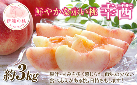【2026年出荷分先行予約】福島県産 幸茜 約3kg (約10玉) 一般社団法人つきだて振興公社 大玉 固め 伊達の桃 桃 フルーツ 果物 もも モモ momo F20C-643