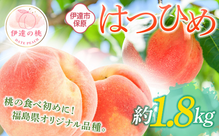 【2026年出荷分先行予約】福島県産 はつひめ 約1.8kg (6～12玉) あかい果樹園 伊達の桃 桃 フルーツ 果物 もも モモ momo F20C-506