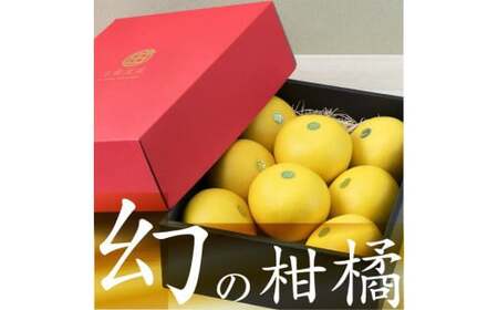 【先行予約】秀品 高知産 土佐文旦 贈答用（3Lサイズ）8玉入  高知県土佐市 【TAMURAKAJUEN】 [BQAQ001]