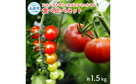 【先行予約】フルーツトマト食べくらべセット 約1.5kg 〈2027年1月下旬から順次発送〉高知県産 高知県 土佐市【ファーム輝】 [BQBM001]