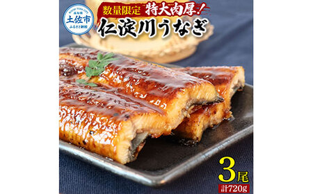 【数量限定】うなぎ うなぎ蒲焼き 国産 特大 3尾セット タレ付き 1尾200g超え 仁淀川 太化うなぎ おいしい 人気 冷凍 真空パック 夏【株式会社山本養鰻】 [BQAL001]
