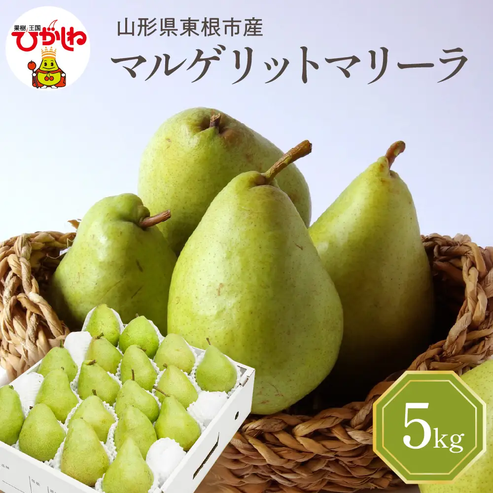 【2026年産】 西洋梨 マルゲリットマリーラ 5kg 秀品 化粧箱入り 山形県 東根市 東根農産センター提供 hi027-189-r8 （マルゲリットマリーラ 洋梨 洋ナシ フルーツ 果物 くだもの 産地直送 期間限定 特産品 お取り寄せ グルメ 旬 秋 東北 山形県 東根市 送料無料）