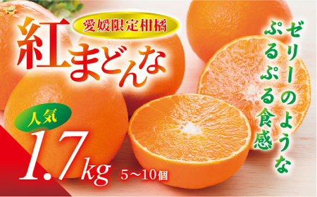 【2026年先行予約】紅まどんな 1.7kg (5～10個) 愛媛みかん 愛果28号 化粧箱入り 【11月下旬より順次発送予定】 紅マドンナ まどんな マドンナ みかん ミカン 蜜柑 果物 くだもの フルーツ 柑橘 かんきつ 柑橘類 愛媛果試第28号 あいか ギフト 贈り物 贈答用 おすすめ 人気 お取り寄せ 国産 愛媛 伊予市｜B36