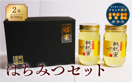 はちみつ びわ蜜×２本【2026年1月末以降発送】藤田養蜂場 ハチミツ 蜂蜜 ｜B38