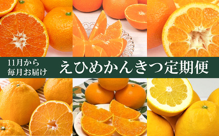 【2026年先行予約】えひめかんきつ定期便（全６回）柑橘 紅まどんな 日の丸みかん 伊予柑 デコポン せとか 河内晩柑  | F01