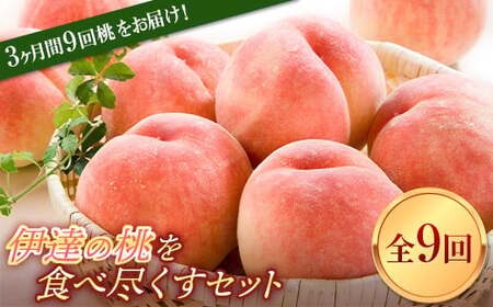 【2026年出荷分先行予約】福島県産 定期便 伊達の桃を食べ尽くすセット 全9回 各約2kg はつひめ ふくあかり あかつき まどか おどろき 川中島白桃 黄貴妃 ゆうぞら さくら白桃 伊達の桃 桃 フルーツ 果物 もも モモ momo F20C-632