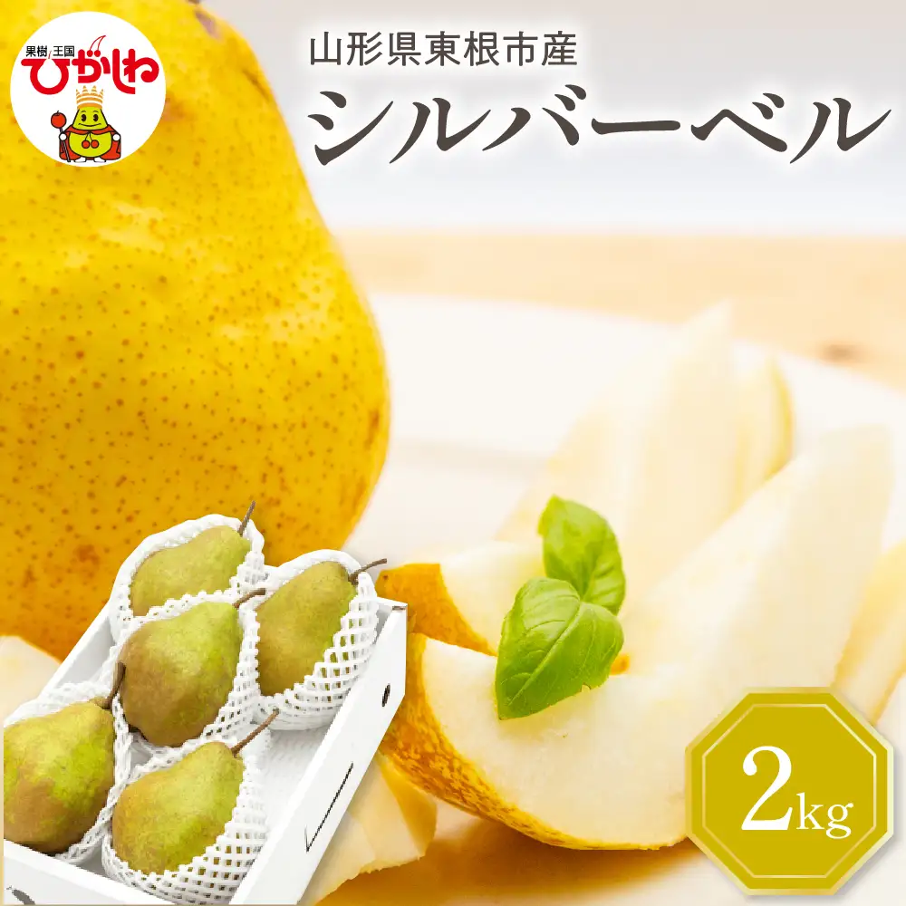 【2026年産】西洋梨 シルバーベル 2kg 秀品 化粧箱入 西洋梨