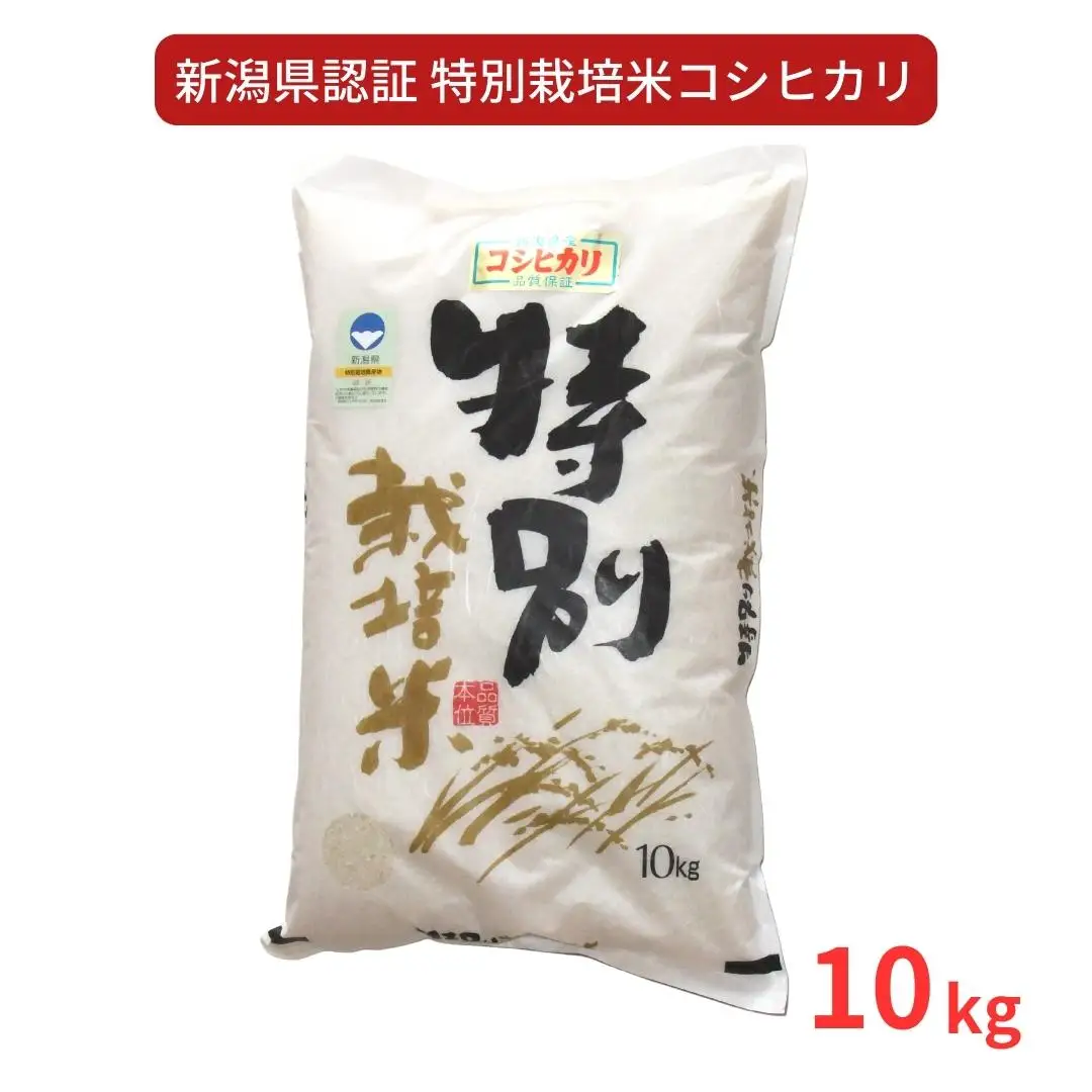 特別栽培米 コシヒカリ10kg 新潟県認証 令和7年産 新潟県三条市産 こしひかり アグリ巧房