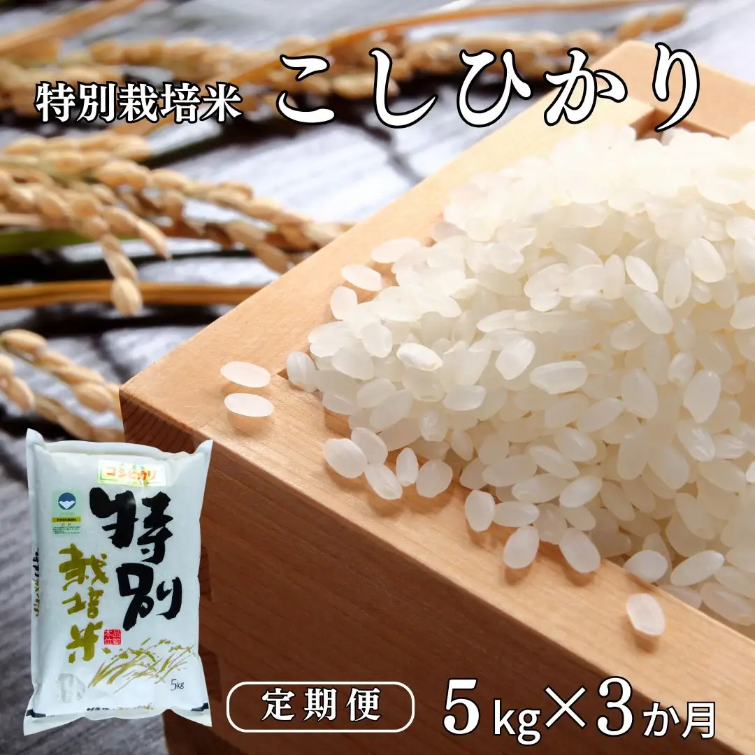 定期便 特別栽培米 コシヒカリ5kg 3ヶ月 令和7年 新潟県認証 三条市 アグリ巧房 コシヒカリ