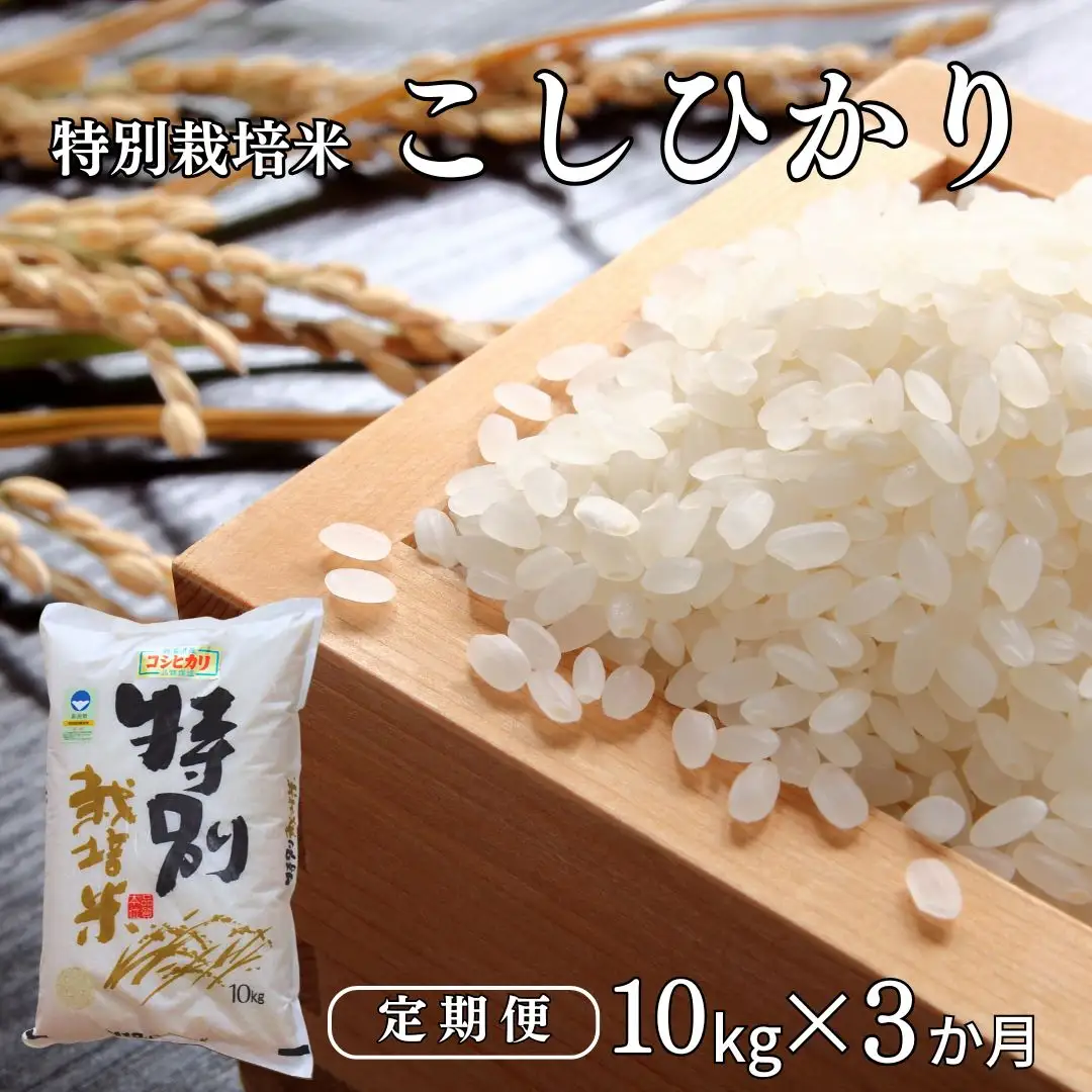 [定期便10kg×3ヶ月] 特別栽培米 コシヒカリ10kg 令和7年産 新潟県認証 新潟県三条市産 アグリ巧房