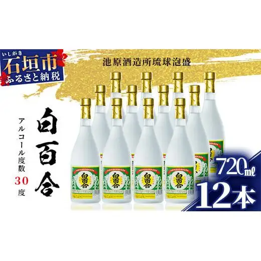 IK-10 池原酒造 白百合 720ml 30度 12本セット