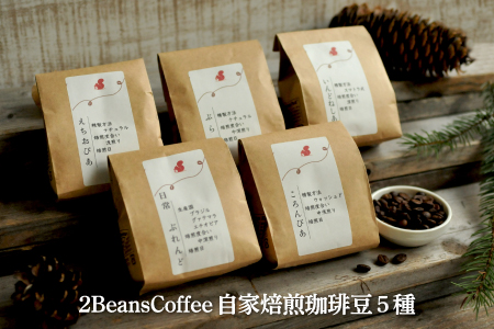 珈琲豆セット(100g×5種)北海道三笠市 2BeansCoffeeカフェ自家焙煎 【06001】