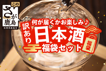 ＼訳あり×お楽しみ福袋！／ 熟成日本酒バラエティセット｜純米大吟醸・純米吟醸など数種類からお届け 清酒 飲み比べセット 佐賀県鹿島市 緊急応援 D-181