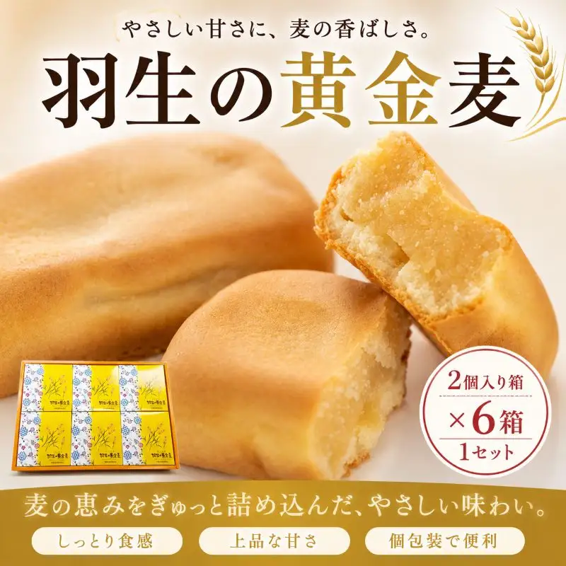 焼き菓子 さいたま羽生の黄金麦 ２個入り箱×６箱 １セット 