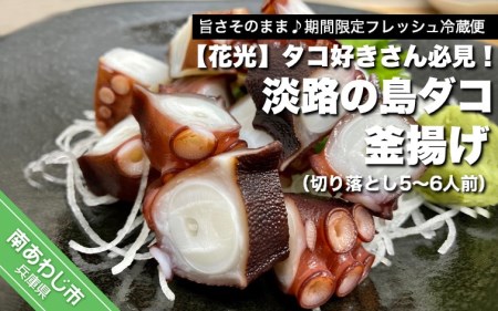 【花光】タコ好きさん必見！淡路の島ダコ釜揚げ（切り落とし5～6人前）【旨さそのまま♪期間限定フレッシュ冷蔵便】