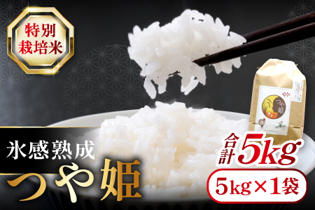 氷感熟成「つや姫」5kg【米 5kg つや姫 特別栽培米 こめ おこめ お米 島根県産 大田市産 氷感熟成 石見銀山氷感つや姫 減農薬 減化学肥料】