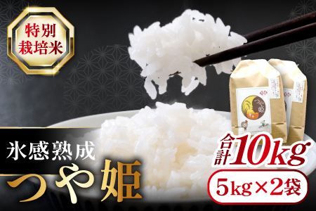 氷感熟成「つや姫」10kg【特別栽培米 つや姫 10kg 島根県産 大田市産 米 氷感熟成 石見銀山氷感つや姫 減農薬 減化学肥料】