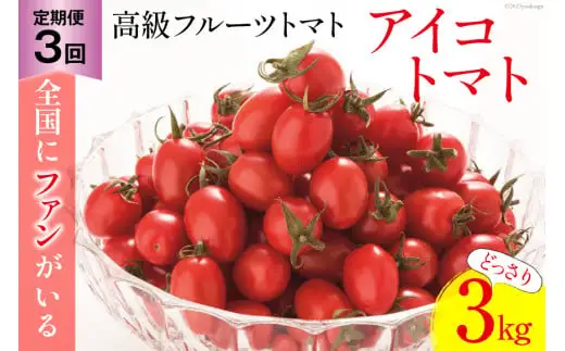 BG138【3回定期便】全国にファンがいる高級フルーツトマト アイコ どっさり！3kg [長崎県 島原市]