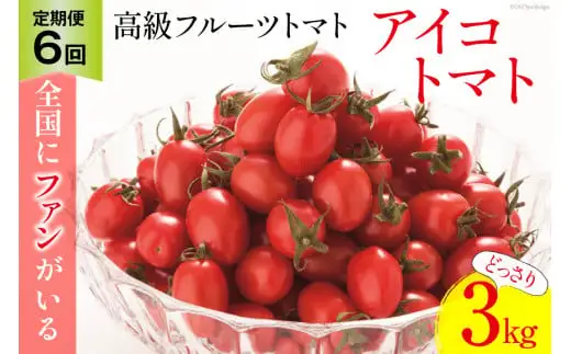 BG139【6回定期便】全国にファンがいる高級フルーツトマト アイコ どっさり！3kg [長崎県 島原市]