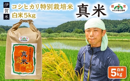 伊賀米コシヒカリ特別栽培米「真米」白米5kg コシヒカリ【ymnk0001】