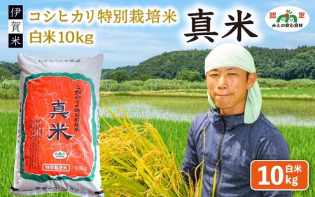 伊賀米コシヒカリ特別栽培米「真米」白米10kg コシヒカリ【ymnk0002】