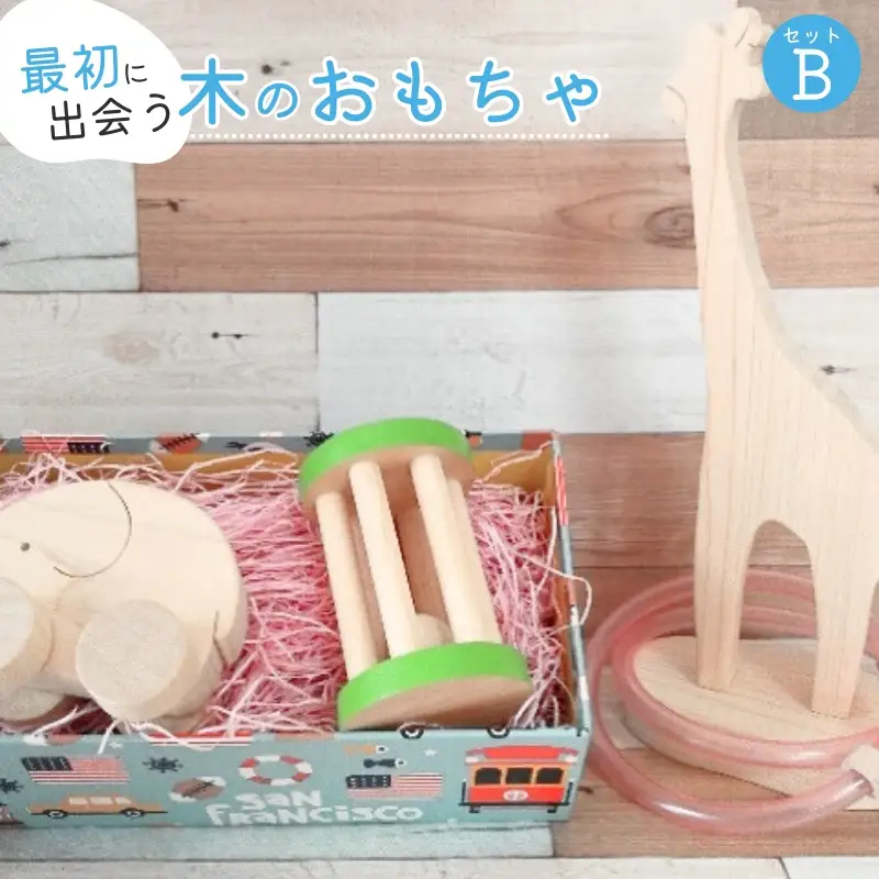 知育玩具 こだわりから生まれた木のおもちゃ セットB【atre0002】