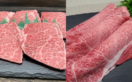 伊賀牛 ロース焼肉＆ロースすきしゃぶセット 約1kg【cook0007】