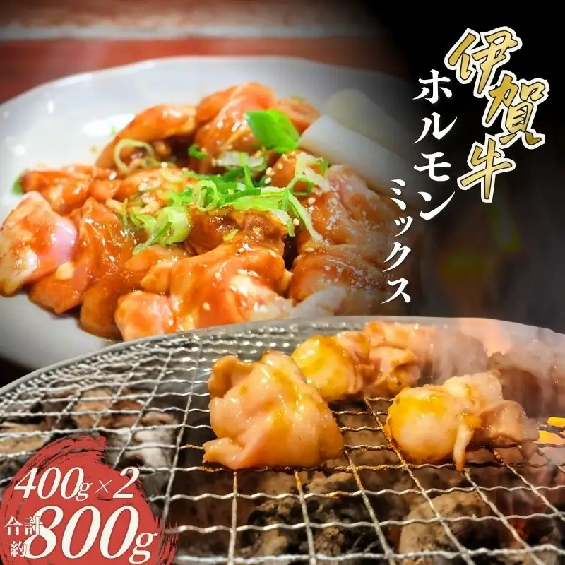 伊賀牛 ホルモンミックス約800g（約400g×2パック）【cook0033】