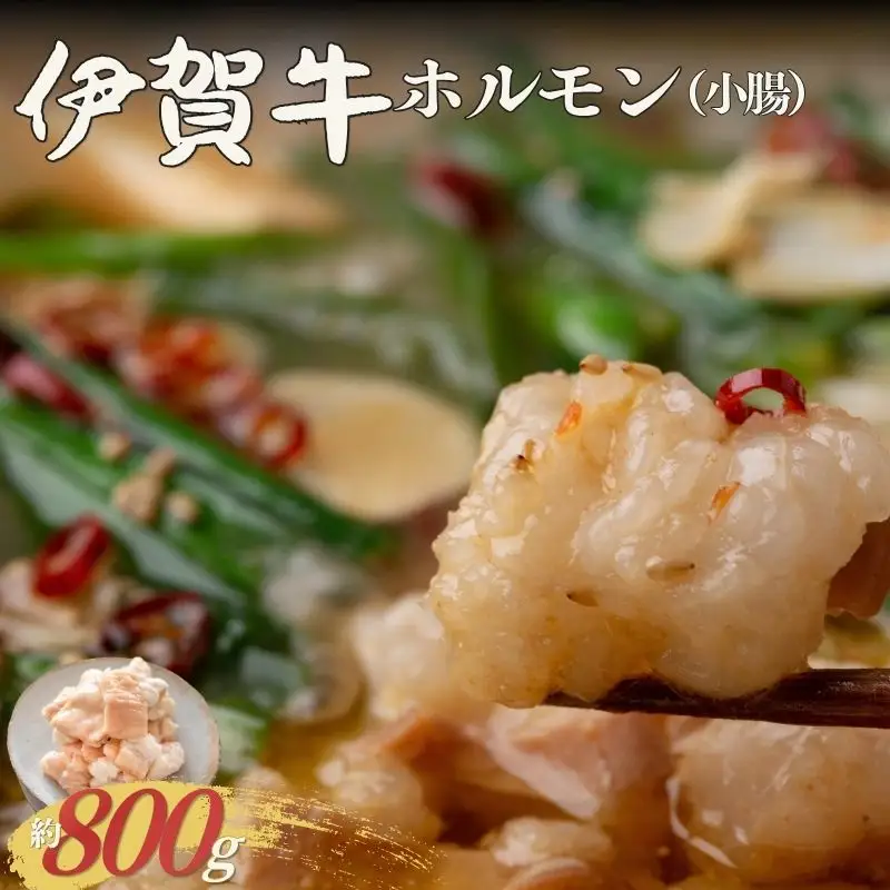 伊賀牛 ホルモン（小腸）約800g【cook0042】
