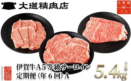 【年6回】伊賀牛 A5サーロイン 定期便コースA 総合計約5.4kg【dido-tkb0009】