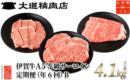 【年6回】伊賀牛 A5サーロイン 定期便コースB 総合計約4.1kg【dido-tkb0010】