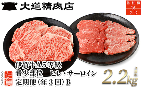 【年3回】伊賀牛 A5ヒレ・サーロイン 定期便B 総合計約2.2kg【dido-tkb0013】