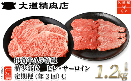 【年3回】伊賀牛 A5ヒレ・サーロイン 定期便C 総合計約1.2kg【dido-tkb0014】