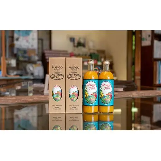 【12回定期便】マンゴージュースセット 500ml×4本 (毎月発送・12回定期便) W-011