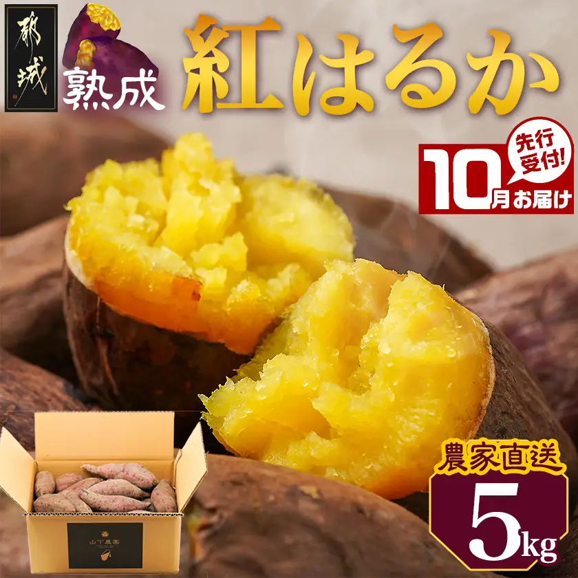 先行受付!【10月お届け】【農家直送】山下農園　熟成紅はるか 5kg〔LD-I704-10〕_(都城市) 都城産 紅はるか 5kg 農家直送 さつまいも サイズ未選別 長期熟成