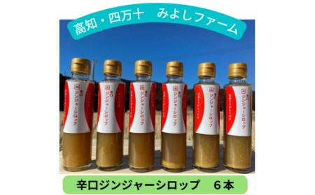 四万十の台地で育った辛口ジンジャーシロップ6本／Fmf-02