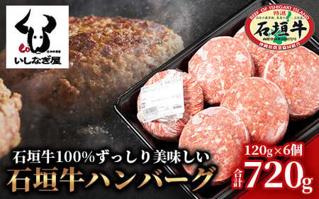石垣牛ハンバーグ 120g×6個 【高級黒毛和牛 国産 ハンバーグ 国産牛 石垣牛 沖縄県 沖縄 琉球 八重山 八重山諸島 石垣島 石垣 ハンバーグ】AB-16-1