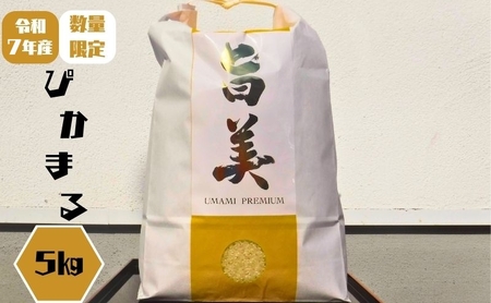 令和7年産 ぴかまる お米番付2021優秀賞受賞 米 お米 5kg 五十棲 京都 白米 ライス こめ コメ おこめ 精米 ごはん お弁当 おにぎり 主食 炭水化物 京都府産 向日市産 国産 日本産 京都府向日市 