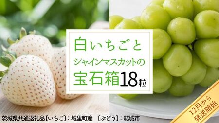 白いちご と シャインマスカット の 宝石箱 18粒 【12月より発送開始】（茨城県共通返礼品 [いちご]：城里町産　[ぶどう]：結城市）