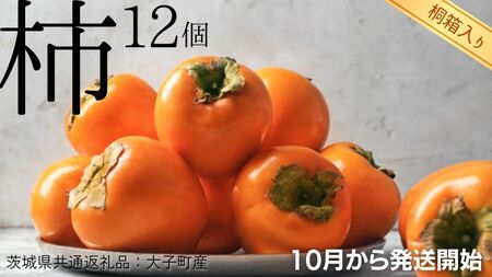 【 桐箱入り 】 柿 12個 【2026年10月より発送開始】（茨城県共通返礼品 [柿]：大子町産）