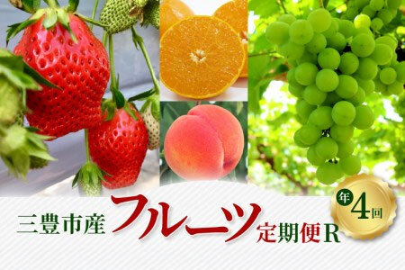 三豊市産 人気の厳選フルーツ定期便R(年4回)