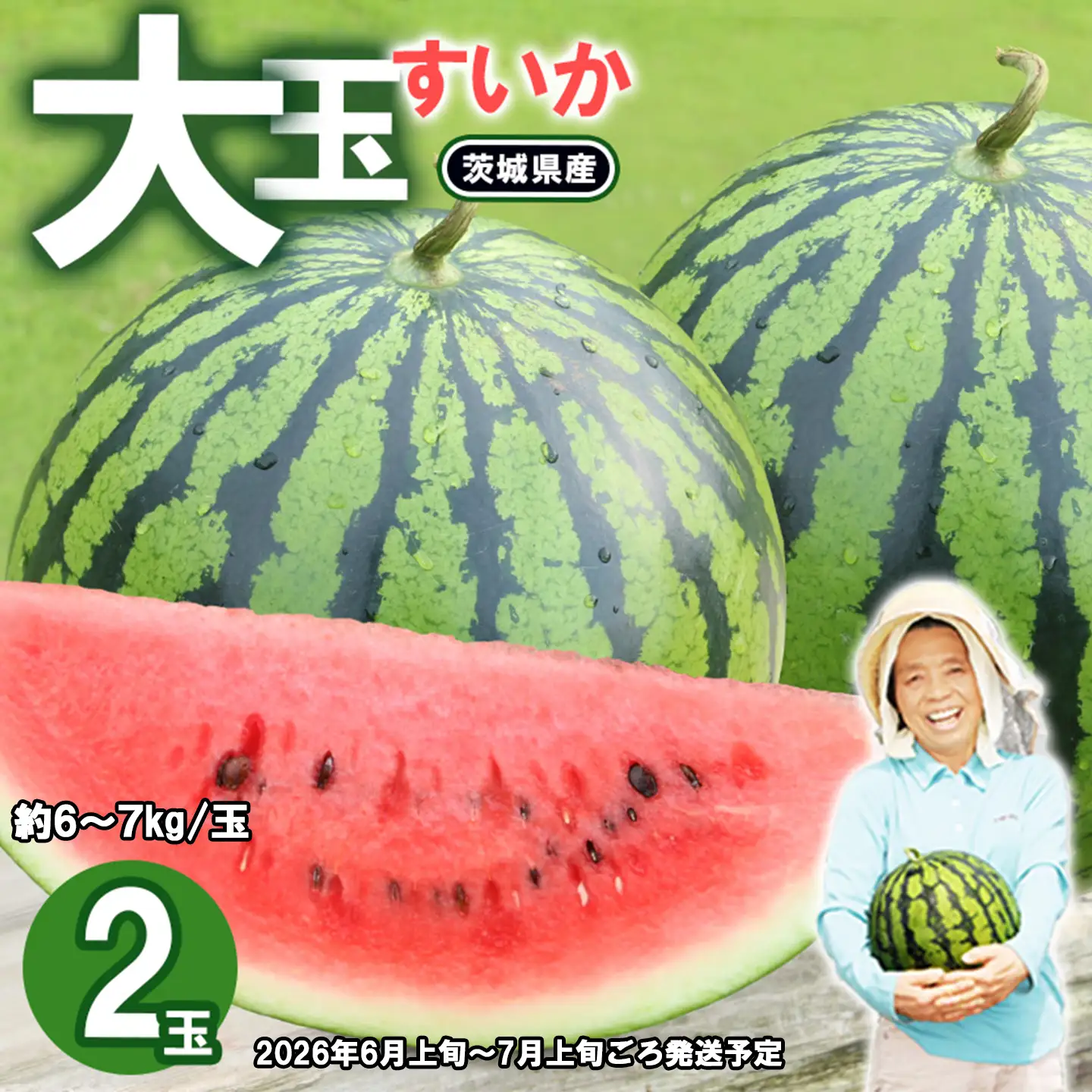 すいか スイカ 大玉 約6～7kg×2玉 令和8年産
