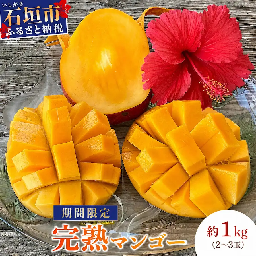 石垣島産マンゴー (アーウィン種) 2～3玉 約1kg