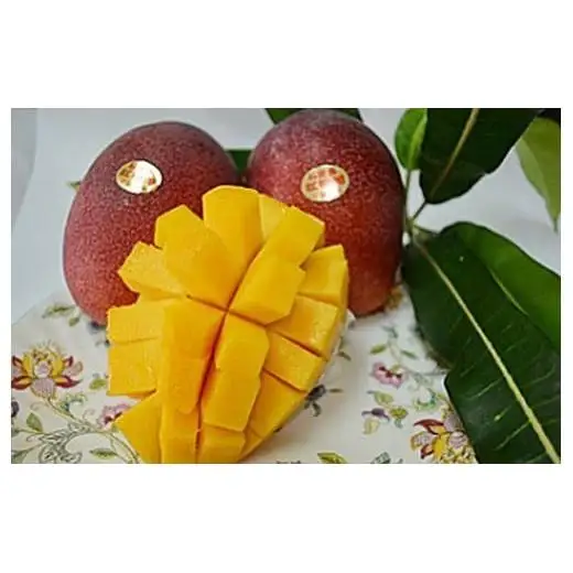 石垣島産マンゴー(アーウィン種) 4～5玉 約2kg