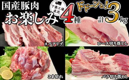国産 豚肉 お楽しみ 4種 セット 3kg 小分け 冷凍