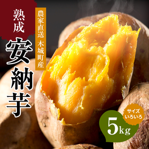 農家直送 木城町産 熟成安納いも5㎏_K30_0001_2