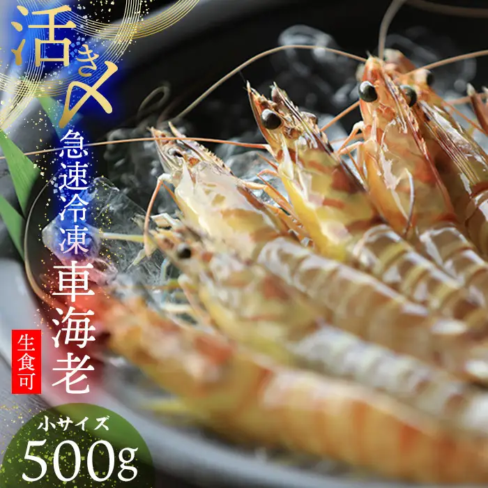 車海老【久米総合開発】活き〆急速冷凍 久米島ブランド車海老 小サイズ 500g 車えび 海鮮